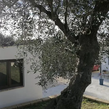 Casa Olivia- Cozy With Spectacular Views *