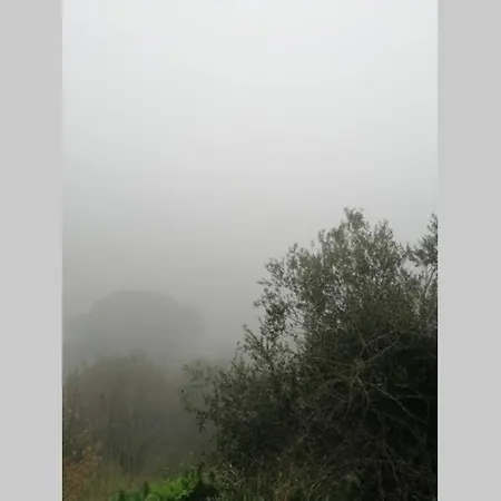 Casa Olivia- Cozy With Spectacular Views 皮斯蒂奇