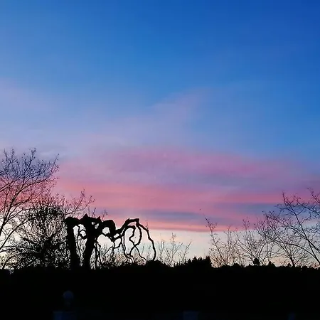 Casa Olivia- Cozy With Spectacular Views