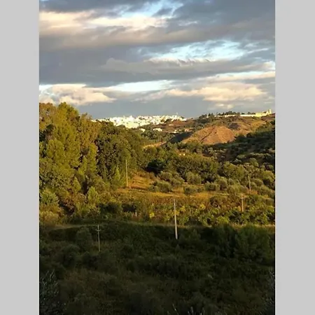 Casa Olivia- Cozy With Spectacular Views *
